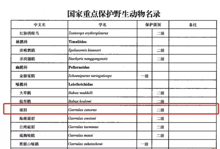 注意！这些鸟不能当宠物养已有人惹上牢狱之灾