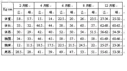 金毛各个阶段吃多少，判断标准有哪些，怎么控制好食量